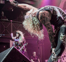 steel panther 4239